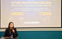 Phát huy vai trò cầu nối của kiều bào trong quan hệ Đối tác Chiến lược Toàn diện Việt Nam-Singapore