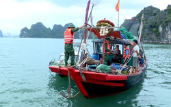 Quảng Ninh: Tăng cường xử lý nạn khai thác tận diệt trên biển