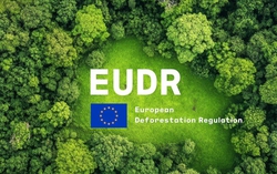 Doanh nghiệp Việt trước phép thử EUDR