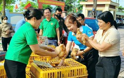 Nhiều hoạt động thiết thực của phụ nữ Hà Tĩnh hướng tới Đại hội Phụ nữ toàn quốc XIV