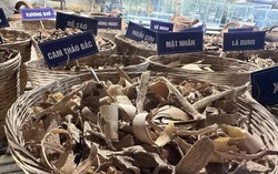 Bộ Y tế: "Tháo gỡ" những bất cập để thúc đẩy phát triển y học cổ truyền