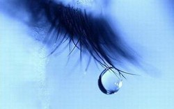 Tình yêu sống bằng nước mắt