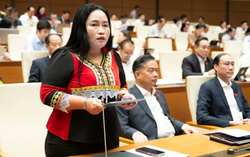 Bình đẳng giới ở Việt Nam sau 40 năm đổi mới: Thành tựu phản bác xuyên tạc
