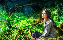 Quy định về phát hành, phổ biến phim phục vụ nhiệm vụ chính trị