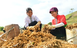 Sắp diễn ra Hội nghị Phụ nữ 2026 