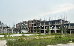 Hải Phòng: Chấp thuận cho 3 tổ chức kinh doanh bất động sản được thực hiện dự án
