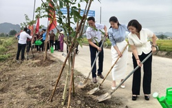 Ninh Bình: Khánh thành "Đường cây Phụ nữ" chào mừng các sự kiện chính trị quan trọng