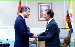 Tăng cường quan hệ hữu nghị và hợp tác Việt Nam với các nước ASEAN và ADB