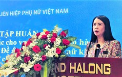 Nâng cao năng lực cán bộ Hội trong hỗ trợ phụ nữ phát triển kinh tế thời kỳ mới