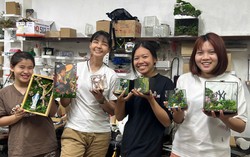 Lilforest - Hành trình dệt nên giá trị từ những điều không trọn vẹn