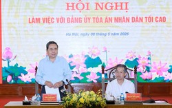 Chủ tịch Quốc hội: Nâng chất lượng, hiệu quả hoạt động xét xử của tòa án các cấp
