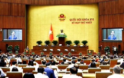 Thí điểm chế định Luật sư công tại 8 bộ và 10 địa phương từ ngày 1/10/2026