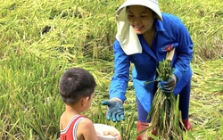 Tìm lại sự cân bằng với việc làm nông nghiệp sạch