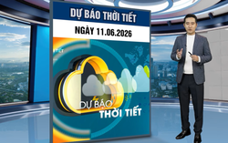 Bản tin thời tiết ngày 11/6: Nắng trở lại Bắc Bộ, vùng núi sắp hứng đợt mưa dông tăng cường
