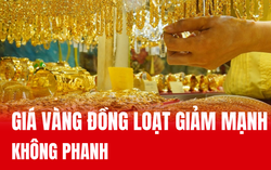 Giá vàng đồng loạt giảm mạnh