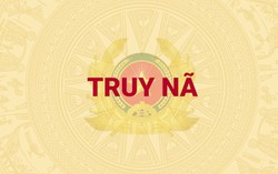 Vận động thành công đối tượng bị truy nã đang ở Nhật Bản về nước đầu thú