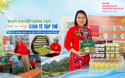 Phụ nữ Ninh Bình gieo khát vọng trên đồng đất quê hương