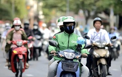 Cần hoàn thiện lưới an sinh cho lực lượng lao động nền tảng