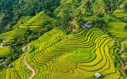 Vietnam listed among the 28 most beautiful countries in the world