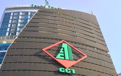 CC1: Lợi nhuận giảm nhẹ sau khi kiểm toán hợp nhất
