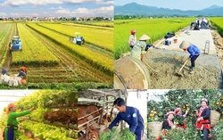 Giao bổ sung vốn ngân sách Trung ương thực hiện 2 Chương trình mục tiêu quốc gia