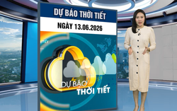 Bản tin thời tiết ngày 13/6: Áp thấp nóng tăng sức ép, Bắc Bộ xuất hiện nắng nóng gay gắt