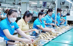 Nghị quyết số 10-NQ/TW của Bộ Chính trị về phát triển kinh tế có vốn đầu tư nước ngoài