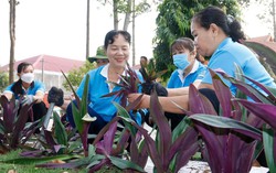 Phụ nữ Vĩnh Long viết tiếp trang sử mới bằng nhiều hành động thiết thực