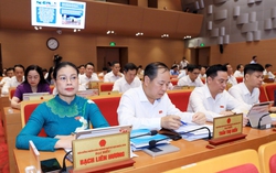 Hà Nội dự kiến lập Sở An toàn thực phẩm, mở rộng tối đa lên 18 Sở