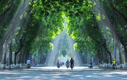 "Xanh hóa" Thủ đô bằng tư duy lập pháp mới