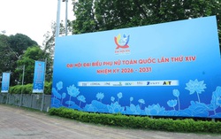 International friends and overseas Vietnamese congratulate the 14th National Women's Congress