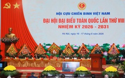 Khai mạc Đại hội đại biểu toàn quốc Hội Cựu chiến binh Việt Nam lần thứ VIII