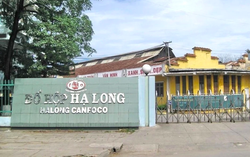 Đồ hộp Hạ Long tái sản xuất kinh doanh sau bê bối vi phạm an toàn thực phẩm