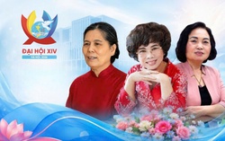 3 nữ lãnh đạo các tổ chức thành viên, tổ chức xã hội được bầu vào Ban Chấp hành TƯ Hội khóa XIV