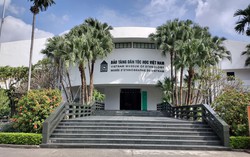 Viện Hàn lâm Khoa học xã hội Việt Nam phản hồi đơn thư liên quan Bảo tàng Dân tộc học Việt Nam