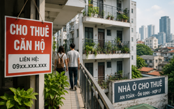 Nhà cho thuê: Đến lúc "an cư" không phải là mua được nhà