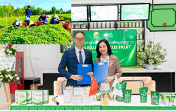 Chiêu thức lừa đảo chiếm đoạt hơn 1.000 tỷ đồng của CCV Group  