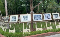 Chuỗi hoạt động lan tỏa di sản Hồ Chí Minh