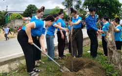 Phụ nữ Sơn La sôi nổi thi đua hướng về ngày hội lớn của phụ nữ cả nước