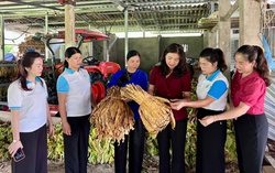 Hội LHPN tỉnh Cao Bằng kiểm tra, giám sát công tác Hội và phong trào phụ nữ tại địa bàn xã