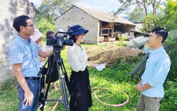 Tư chất và sứ mệnh của người viết báo hiện nay