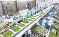 Áp dụng công nghệ chế biến, bảo quản để nâng cao giá trị nông sản