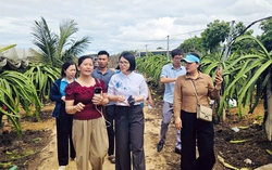 Sơn La: Tìm đầu ra căn cơ, bền vững cho các hợp tác xã do phụ nữ quản lý