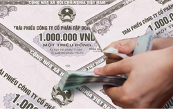 Chủ dự án Palm City bị phạt 175 triệu đồng do sử dụng tiền huy động từ trái phiếu sai mục đích