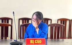 An Giang: 15 năm tù cho người phụ nữ dùng tài liệu giả, chiếm đoạt 5,9 tỷ đồng