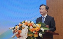Nhiều hoạt động nổi bật tại Lễ hội Vì Hòa bình năm 2026 ở Quảng Trị