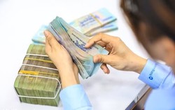 Những chính sách mới nổi bật có hiệu lực từ tháng 7/2026
