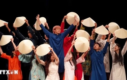 Czech festival showcases story of youthful, culturally rich Vietnam