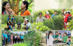 Những dấu ấn nổi bật trong công tác Hội và phong trào nông dân giai đoạn 2023-2026