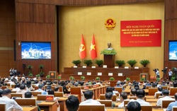 Hội nghị toàn quốc quán triệt và triển khai Nghị quyết của Bộ Chính trị về phát triển kinh tế FDI